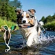 duck dog training